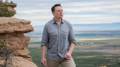 Elon Musk Net Worth