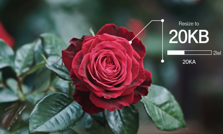 Resize Image to 20KB