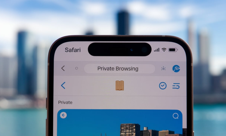 Turn Off Private Browsing on Safari for iPhone